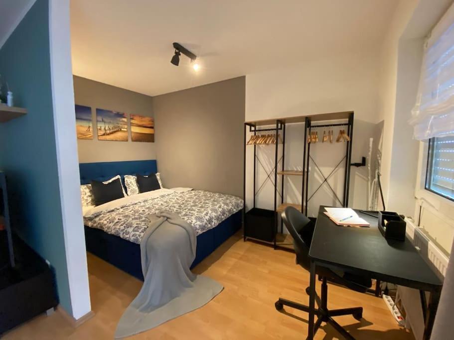 Design, Hochschule, Wildpark, Zentral, Waipu Tv, Netflix