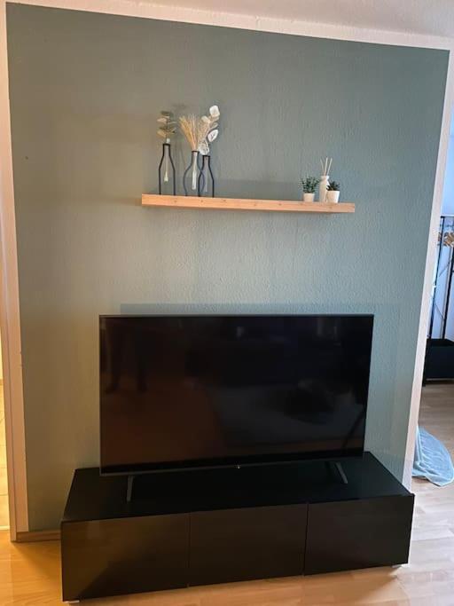Design, Hochschule, Wildpark, Zentral, Waipu Tv, Netflix